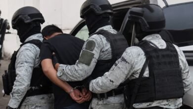 La captura de Mario N revela la estrategia federal para debilitar a Los Ardillos en Guerrero. Analizamos el impacto de este operativo.