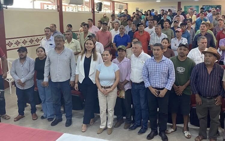 Javier Ibarra Ángulo, gerente estatal de NAFIN en Guerrero, entrega cartas de liberación de adeudos a más de 90 productores del campo guerrerense