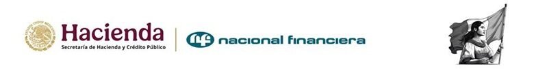 Nafin otorgó casi 230 mil millones de pesos en créditos a 294 mil empresas durante el primer semestre del año, informó la institución financiera