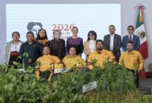 La Jornada Nacional de Reforestación 2026 busca plantar 6.6 millones de árboles en México el 9 de agosto con apoyo de miles de voluntarios.