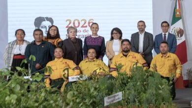 La Jornada Nacional de Reforestación 2026 busca plantar 6.6 millones de árboles en México el 9 de agosto con apoyo de miles de voluntarios.