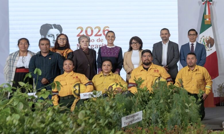 La Jornada Nacional de Reforestación 2026 busca plantar 6.6 millones de árboles en México el 9 de agosto con apoyo de miles de voluntarios.