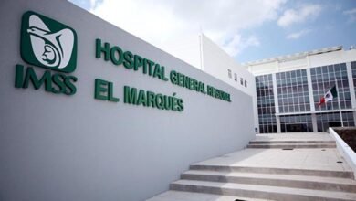 Brote de Salmonella afecta a 135 residentes del Hospital General de México y obliga a reforzar la revisión de alimentos y cocinas hospitalarias
