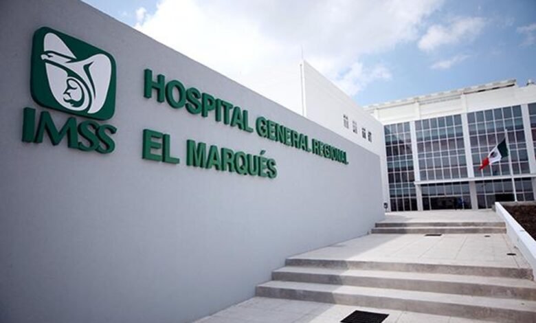 Brote de Salmonella afecta a 135 residentes del Hospital General de México y obliga a reforzar la revisión de alimentos y cocinas hospitalarias